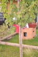 /album/fotogaleria/a010-pistas-jpg/
